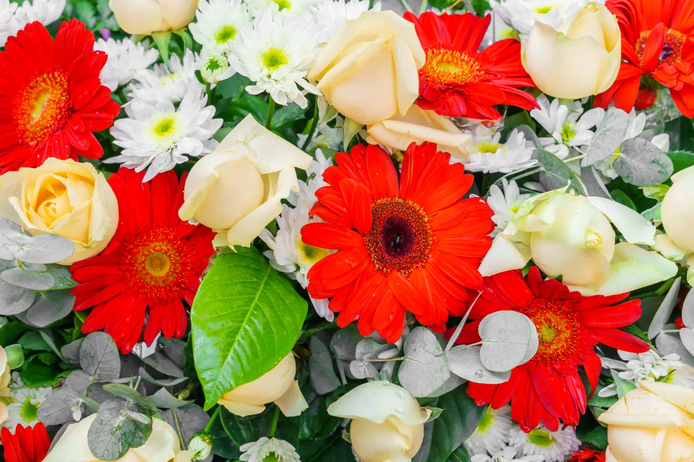 A dense bed of gerberas, roses and white chrysanthemums