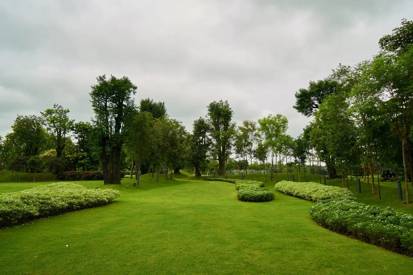 Clipped hedge beds framing a stretch of open lawn
