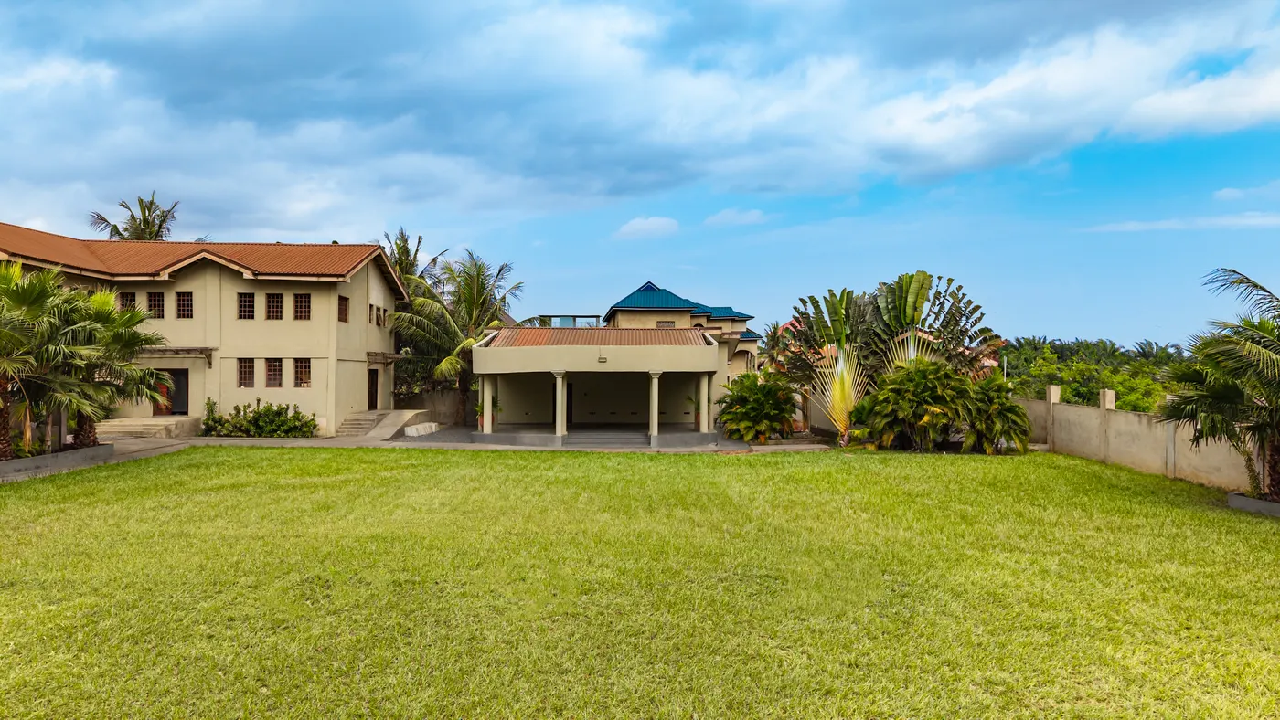 The open lawn, with palms and the boundary planting along the far edge